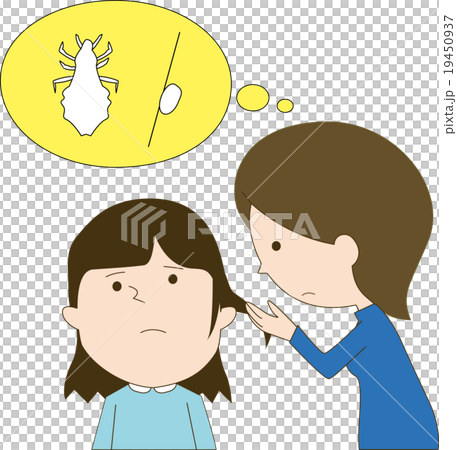 シラミ チェック シラミ チェック 19450937