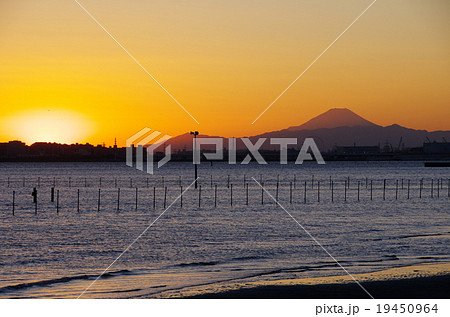 三番瀬 三番瀬 19450964