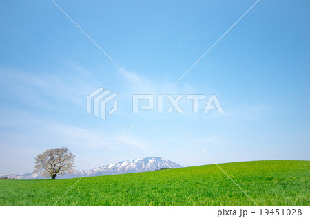 Koiwai farm,morioka city,iwate,tourism of japan Koiwai farm,morioka city,iwate,tourism of japan 19451028