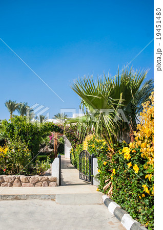 Hotel facade in Egypt With palm trees Hotel facade in Egypt With palm trees 19451480
