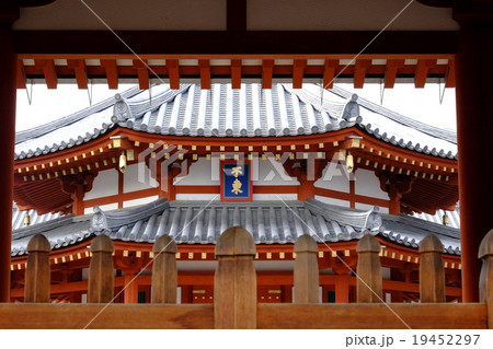 薬師寺礼門からの玄奘三蔵院 19452297