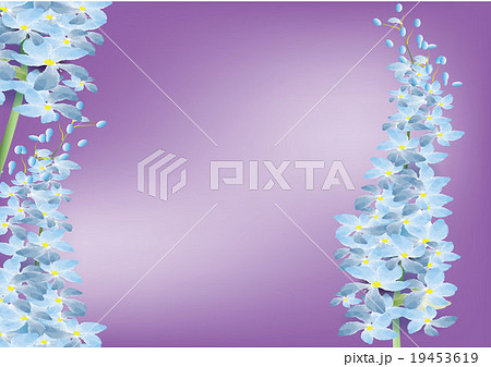 Delphinium flower blue color on purple,vector Delphinium flower blue color on purple,vector 19453619