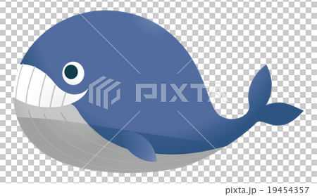 クジラ 19454357