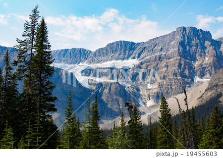 Crowfoot Glacier, Banff National Park, Canada 19455603