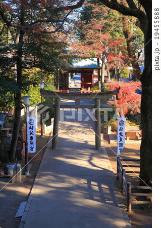 川越大師　喜多院 19455888