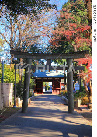 川越大師 喜多院 川越大師 喜多院 19455889