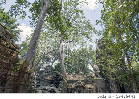 カンボジア シェムリアップ タプローム遺跡 カンボジア シェムリアップ タプローム遺跡 19456443