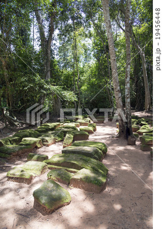 カンボジア　シェムリアップ　タプローム遺跡 19456448