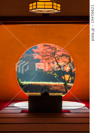 鎌倉 明月院 鎌倉 明月院 19456621