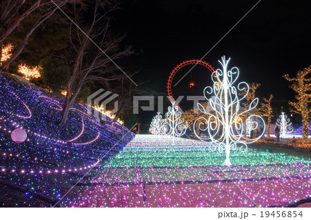 西武園イルミージュ 19456854