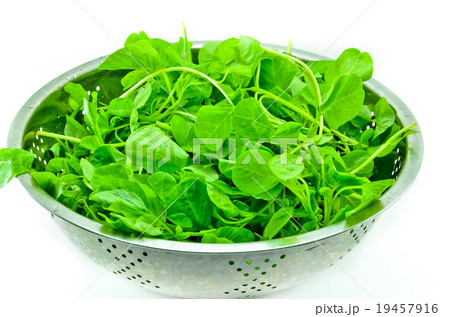vegetable 19457916