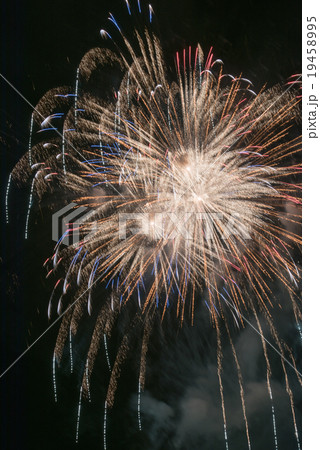 大曲花火大会 19458995