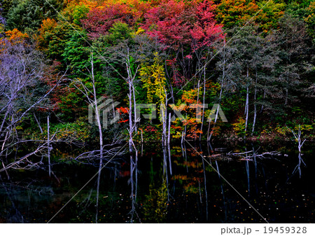 神秘の湖沼 神秘の湖沼 19459328