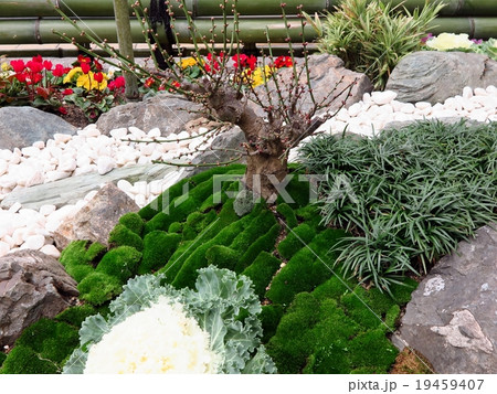 正月飾り 松竹梅 ジオラマ 花壇 大阪府枚方市 ５の写真素材