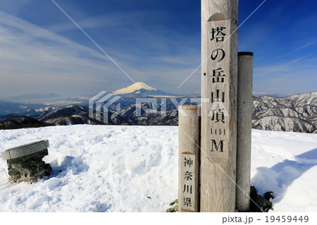 丹沢・塔ノ岳山頂から富士山の展望 19459449