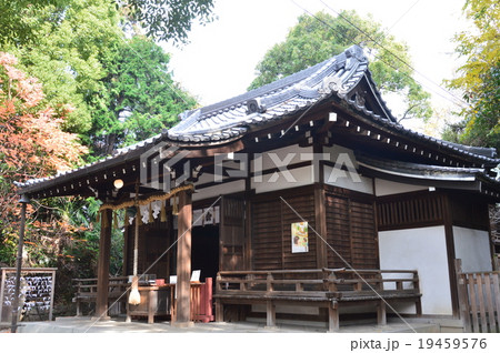 安井神社の本殿(大阪府大阪市天王寺区逢阪1-3-24) 安井神社の本殿(大阪府大阪市天王寺区逢阪1-3-24) 19459576