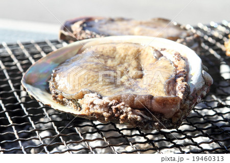 アワビの炭火焼き アワビの炭火焼き 19460313