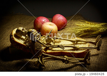 Skull in Still Life Style. Skull in Still Life Style. 19460426