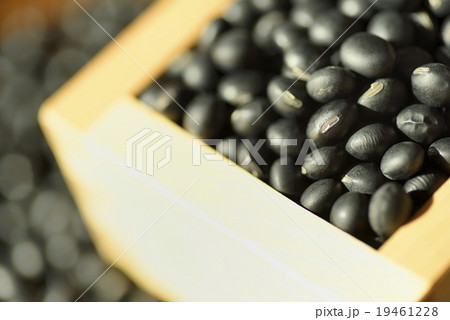 黒豆 19461228