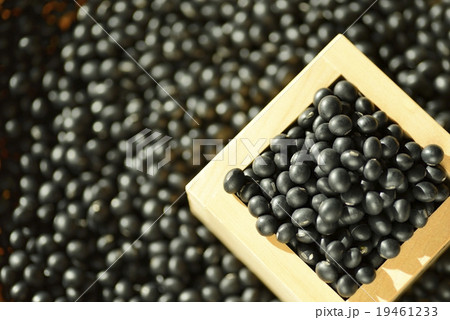 黒豆 19461233