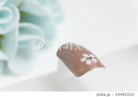 ネイルチップ 19462032