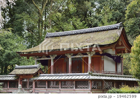 醍醐寺 清滝宮本殿 19462599
