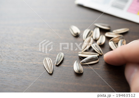 ひまわりの種 19463512