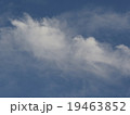 白雲 19463852