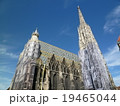 ウィーン　シュテファン大聖堂 19465044
