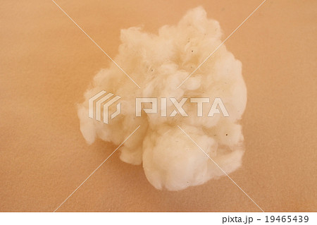 オーガニックコットン 19465439