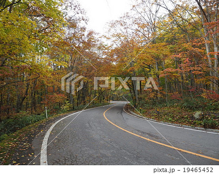 奥大山大山環状道路の紅葉 19465452