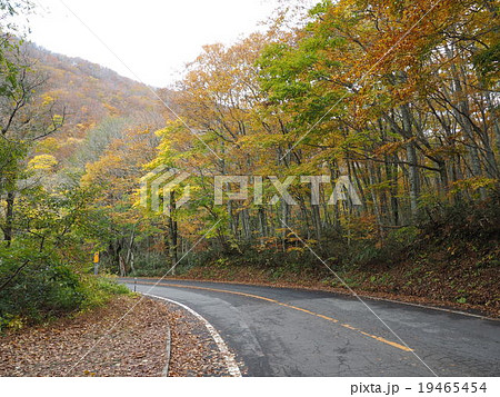 奥大山大山環状道路の紅葉 19465454