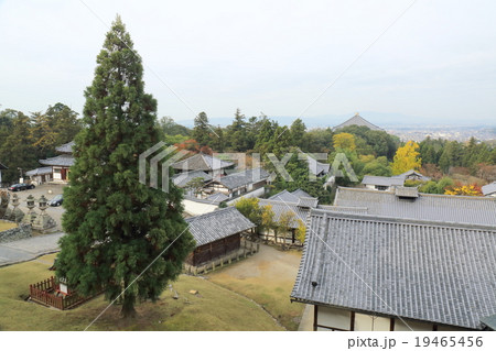 奈良　東大寺二月堂からの眺め 19465456