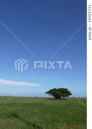 黒島〜heartisland〜 19465741