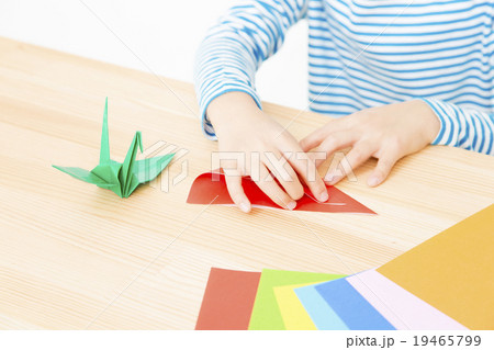 折り紙をする子供　折り紙をする子供の手元　パーツカット　ボディパーツ 19465799