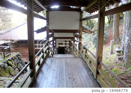 お寺の廊下 19466779