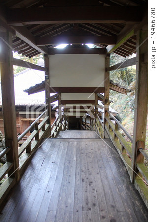 お寺の廊下 19466780
