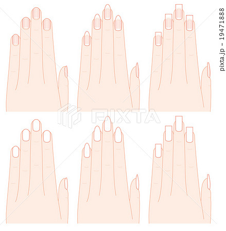手と爪の形のイラスト素材