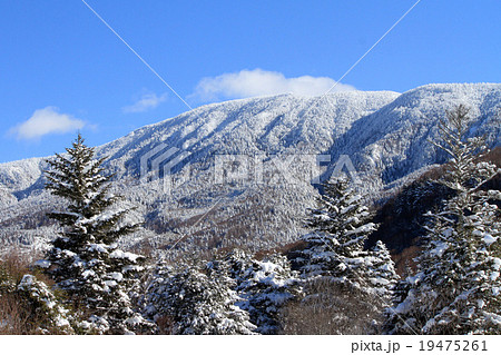 冬の岩菅山 19475261
