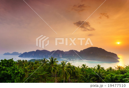 Phi phi island, Krabi, Southern of Thailand 19477510