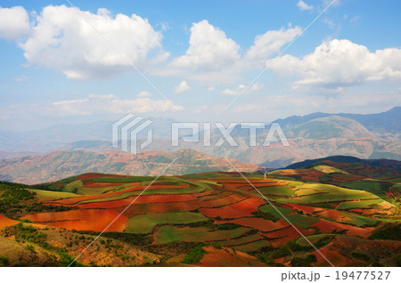 Field landscapes 19477527