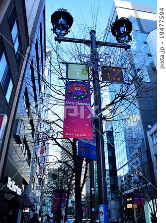 12月の銀座並木通り 19477594