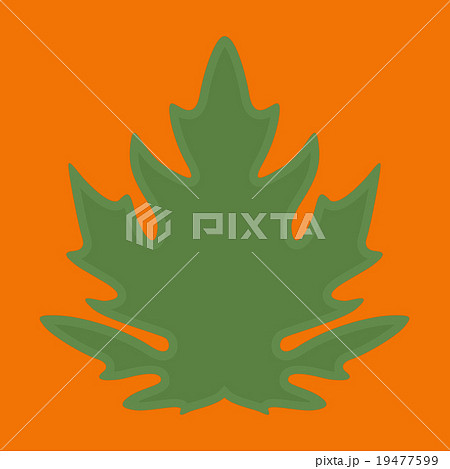 Green papaya leaf on orange background Green papaya leaf on orange background 19477599