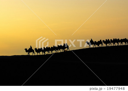 Desert dawn 19477948