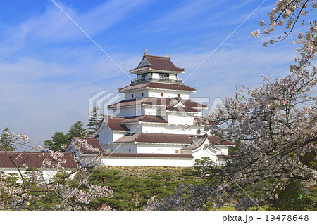 桜と鶴ヶ城 19478648