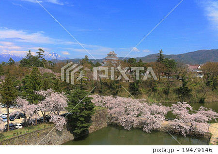 桜と鶴ヶ城 桜と鶴ヶ城 19479146