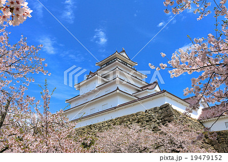 桜と鶴ヶ城 桜と鶴ヶ城 19479152