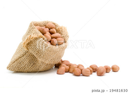 No shell dry peanut in sack 19481630