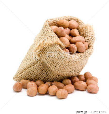 No shell dry peanut in sack No shell dry peanut in sack 19481639