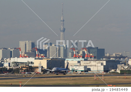 スカイツリーをバックに羽田空港に着陸する787の写真素材